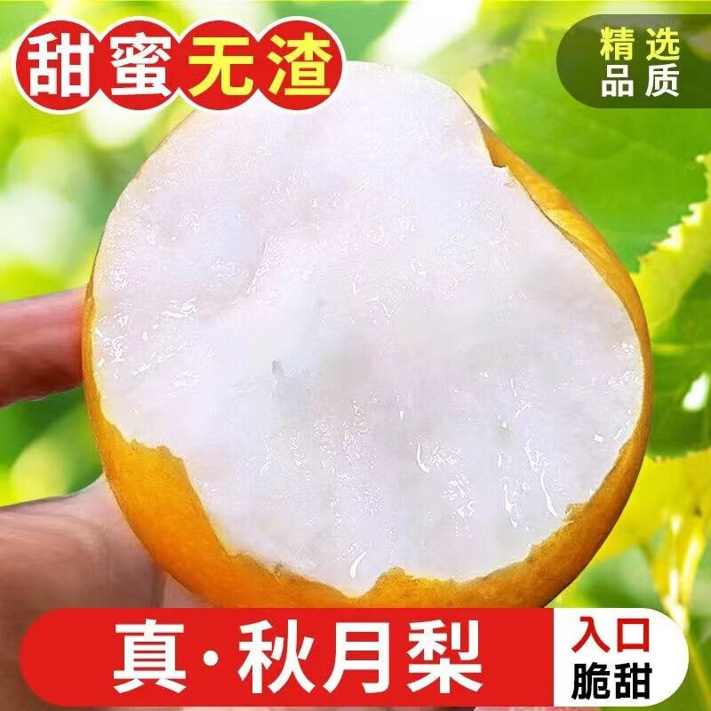 尹福记山东秋月梨2.5斤装特大果王单果270-500克+ 11.45元 - 86线报 尹福记山东秋月梨2.5斤装特大果王单果270-500克+ 11.45元 - 86线报