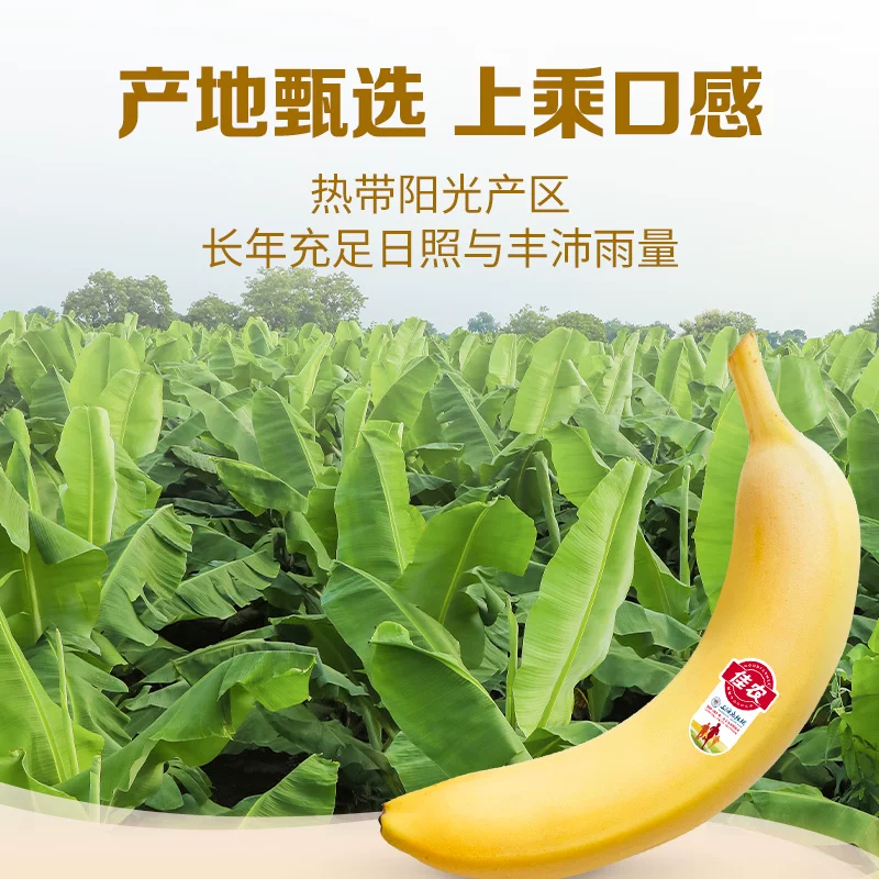 佳农厄瓜多尔进口香蕉2.1kg礼盒装低GI健身代餐单根独立包 25.4元 - 86线报
