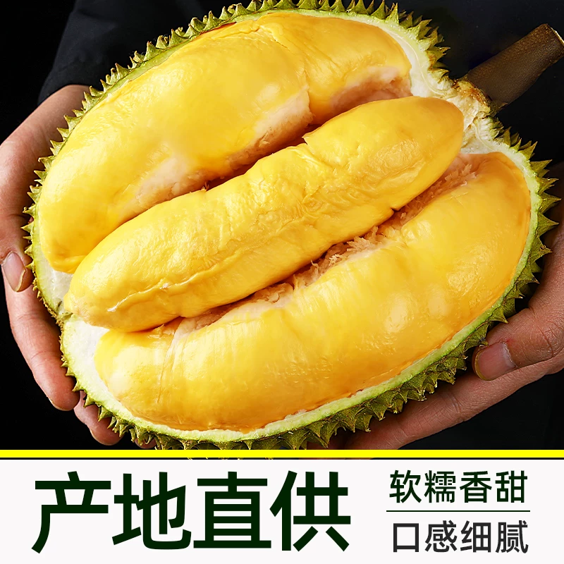 泰壹榴泰国金枕榴莲3斤起保三房催熟食用 74.04元 - 美泡泡 泰壹榴泰国金枕榴莲3斤起保三房催熟食用 74.04元 - 美泡泡