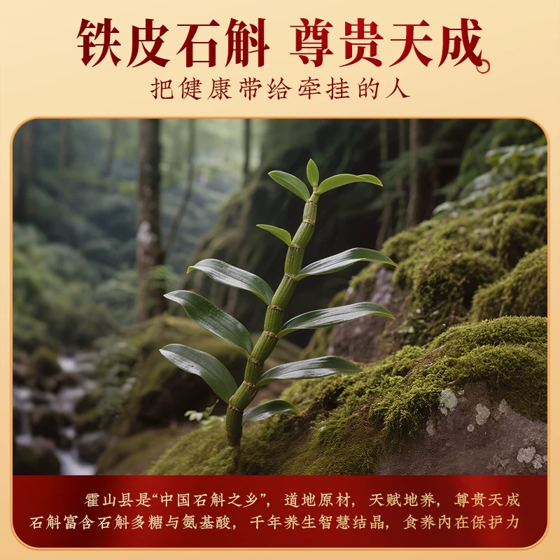 九阳豆浆铁皮石斛八珍食养豆浆粉480g 12.9元 - 86线报