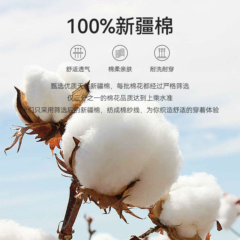 十如仕 纯棉圆领短袖T恤宽松重磅丝光男女同款体恤T22 50.14元 - 86线报