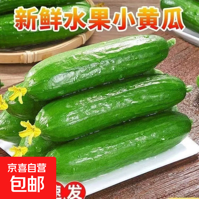 农家自生现摘水果小黄瓜2斤带箱 7.99元 - 线报酷