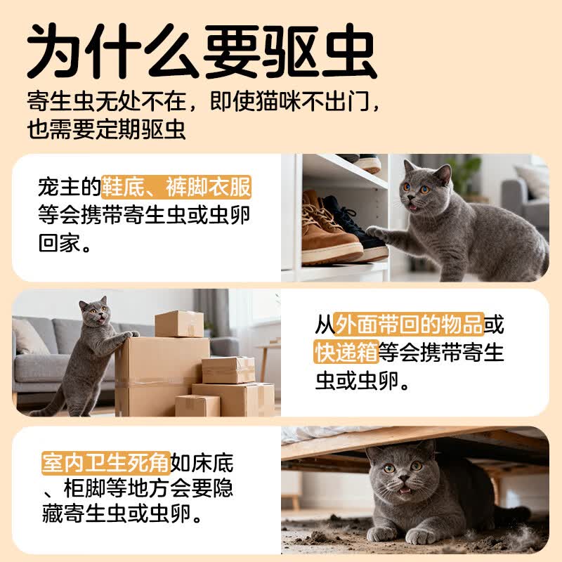 大宠爱猫驱虫药体内外同驱耳螨虱子跳蚤虫2.6-7.5kg成猫3支装 - 线报酷