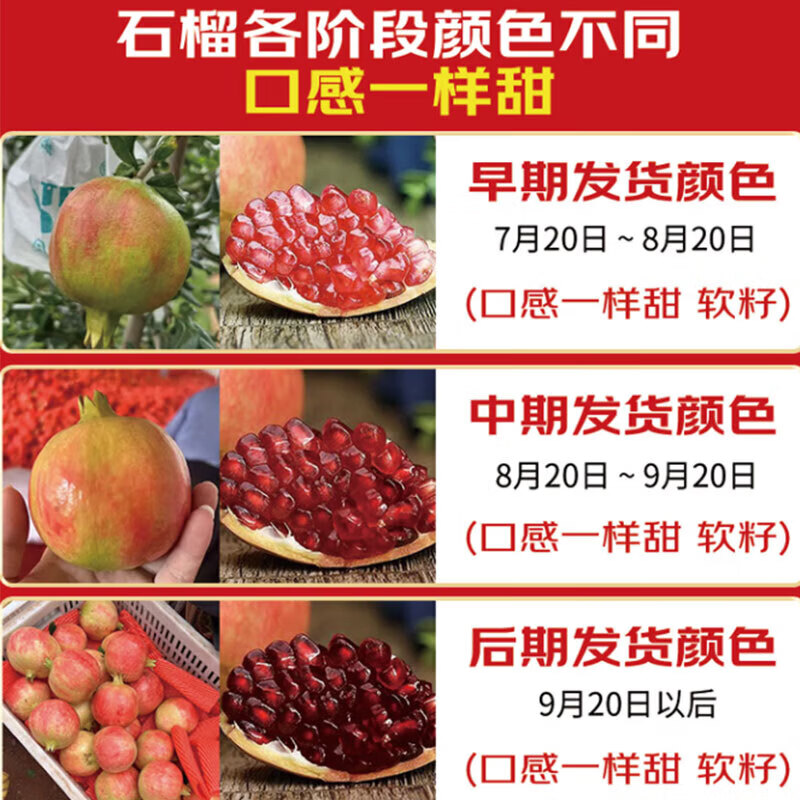 京觅会理突尼斯软籽石榴4.5斤单果250g+生鲜水果源头直发 16.8元 - 86线报