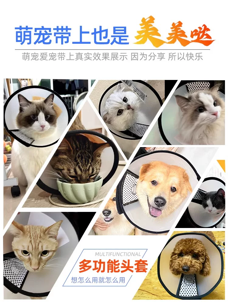 欢宠网猫狗项圈 4.27元 - 86线报