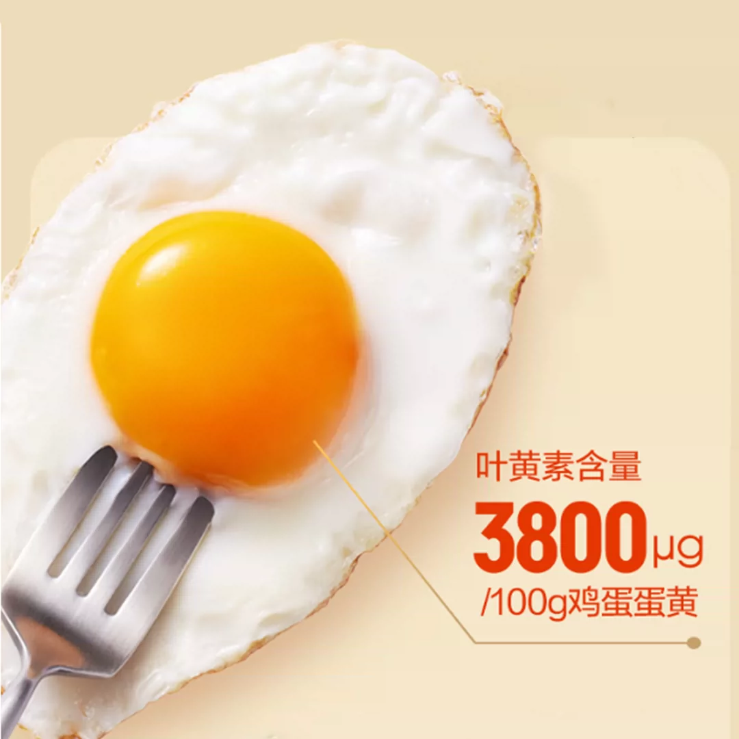 小鸡海蒂叶黄素可生食鸡蛋 15.9元 - 86线报