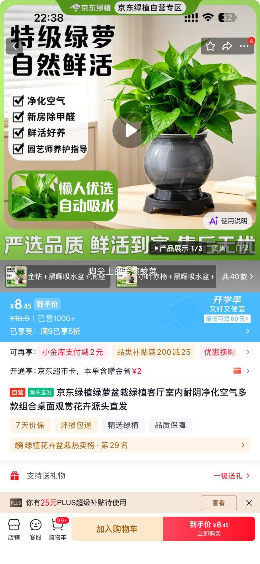 京东绿萝盆栽室内耐阴净化空气桌面观赏绿植 8.45元 - 86线报