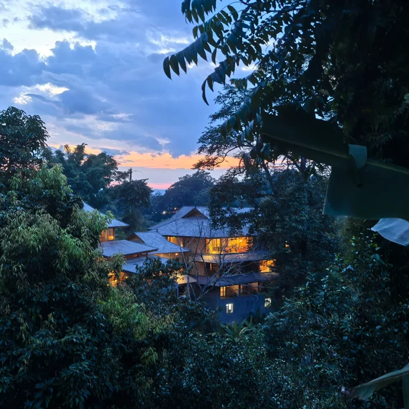 云南旅游私家团西双版纳+普洱+景迈山6天5晚 3099元 - 86线报 云南旅游私家团西双版纳+普洱+景迈山6天5晚 3099元 - 86线报