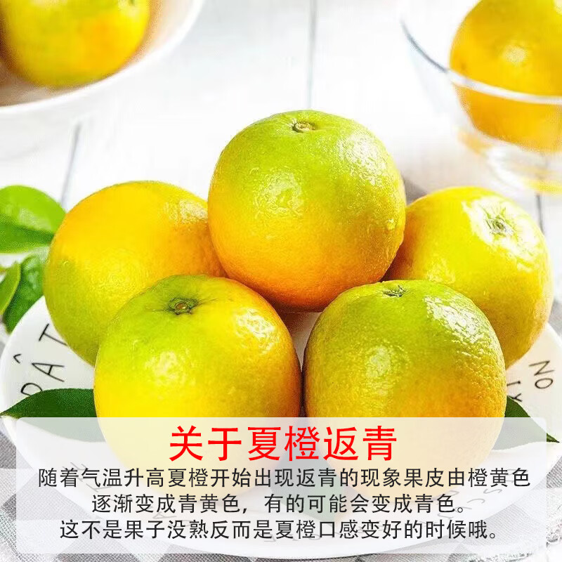京鲜生夏橙榨汁橙净重10斤 16.91元 - 86线报