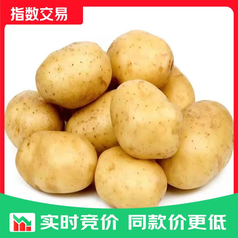播州鲜黄皮黄心土豆马铃薯5斤 6.9元 - 86线报