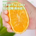 限移动端：探味君 正宗赣南脐橙10斤 果冻橙冰糖甜橙 12.8元（淘金币可抵0.33元起） 图片 2