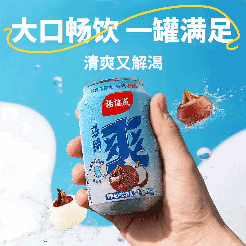 杨协成马蹄爽荸荠饮料 23.9元 - 线报酷