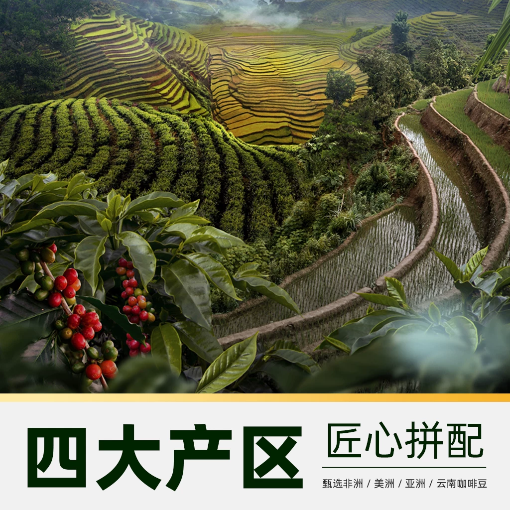 金猫意式拼配铂金咖啡豆100%阿拉比卡中深烘焙250g 49.41元 - 86线报