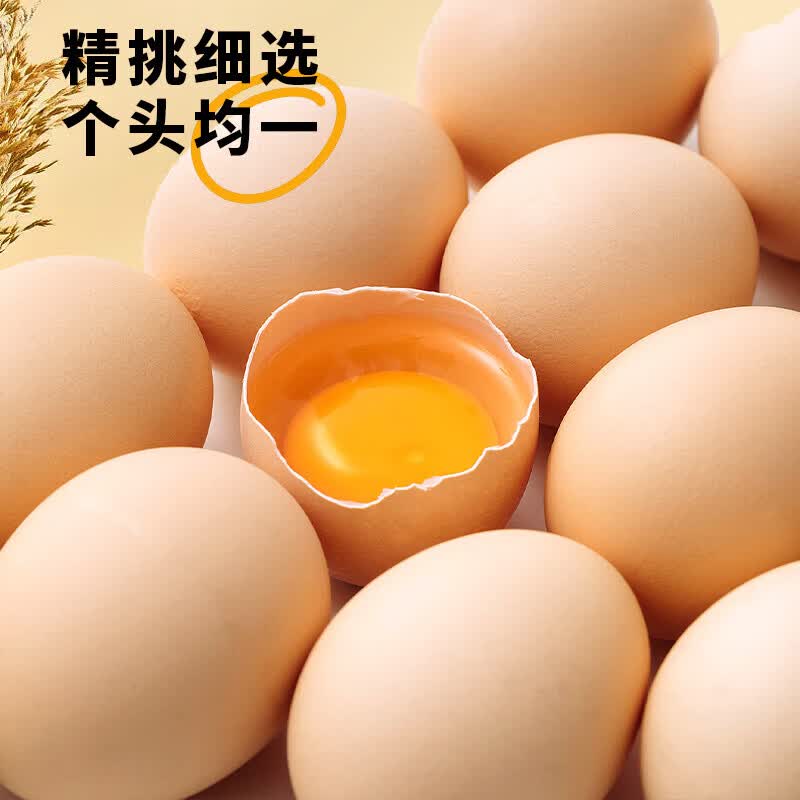 山林正宗山林自养土鸡蛋400g10枚 4.99元 - 86线报