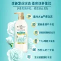 艾诗 72小时持久留香 女士洗发水 180ml 券后2.41元 图片 2