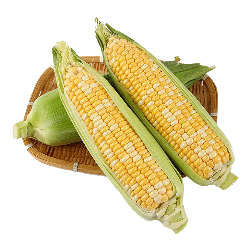 新鲜水果玉米东北即食甜玉米9斤净重 12.9元 - 86线报 新鲜水果玉米东北即食甜玉米9斤净重 12.9元 - 86线报