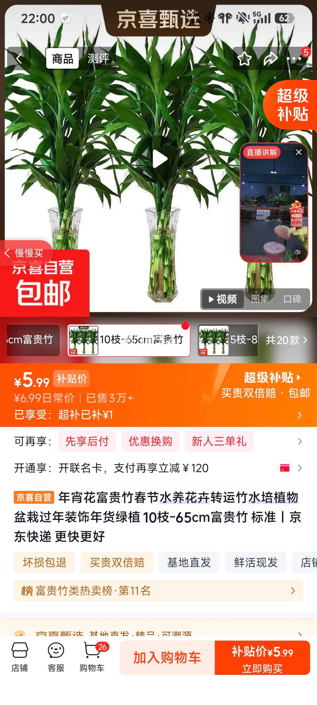年宵花富贵竹水培植物10枝-65cm标准 5.99元 - 86线报