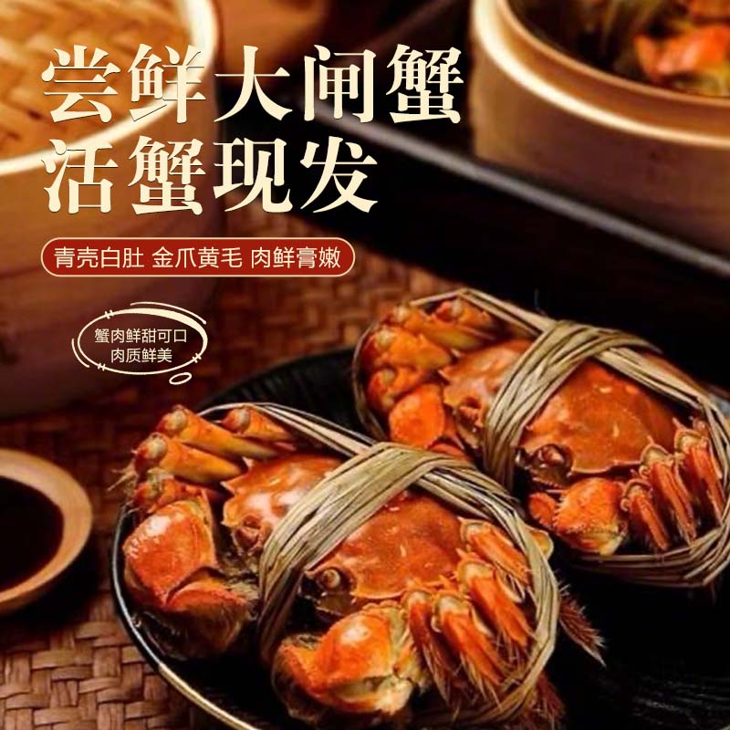 江问鱼现货全母大闸蟹2.3-2.6两8只礼盒装去绳足重死蟹包赔 93.8元 - 线报酷