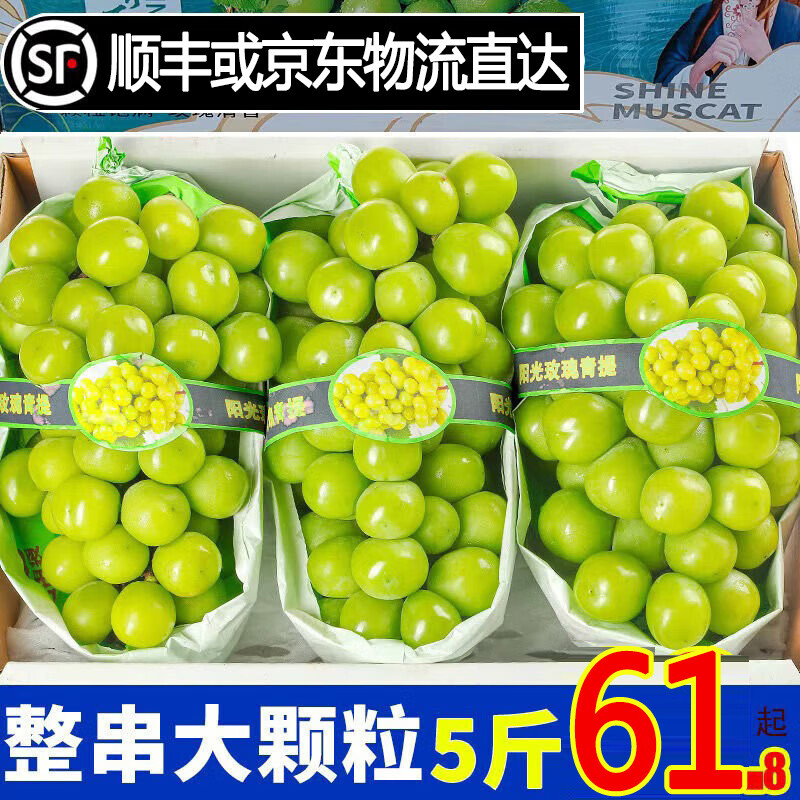 玖原农珍四川阳光玫瑰葡萄大颗粒纯甜晴王整串当季新鲜水果礼盒臻选装含箱5斤净果4斤7.5-15g礼箱装 - 86线报
