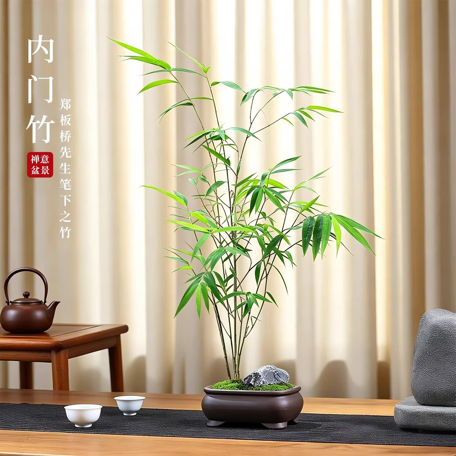 艾莹正宗内门竹盆栽名贵竹子四季常青精品翡翠观音竹基地原盆发货 7.45元 - 线报酷