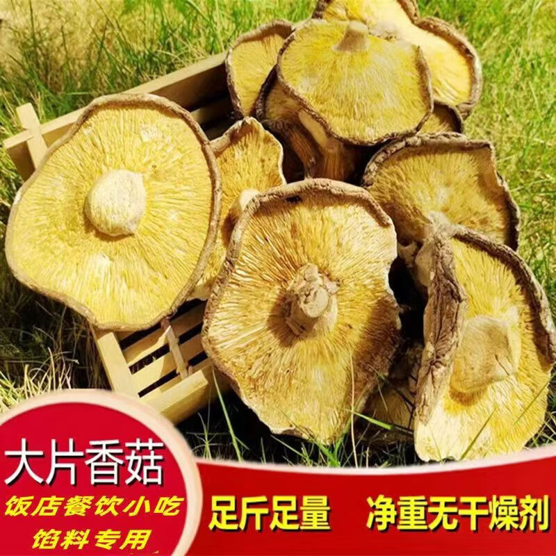 京东新菇上市香菇花菇干货肉厚烧烤煲汤火锅炒菜蘑菇菌菇食材250g高山大片香菇 8.99元 - 86线报