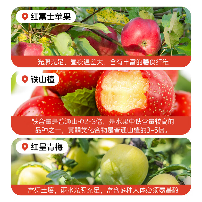 金豆芽山楂青梅汁100ml*13袋儿童果汁礼盒无添加饭后解腻饮品 22.44元 - 86线报