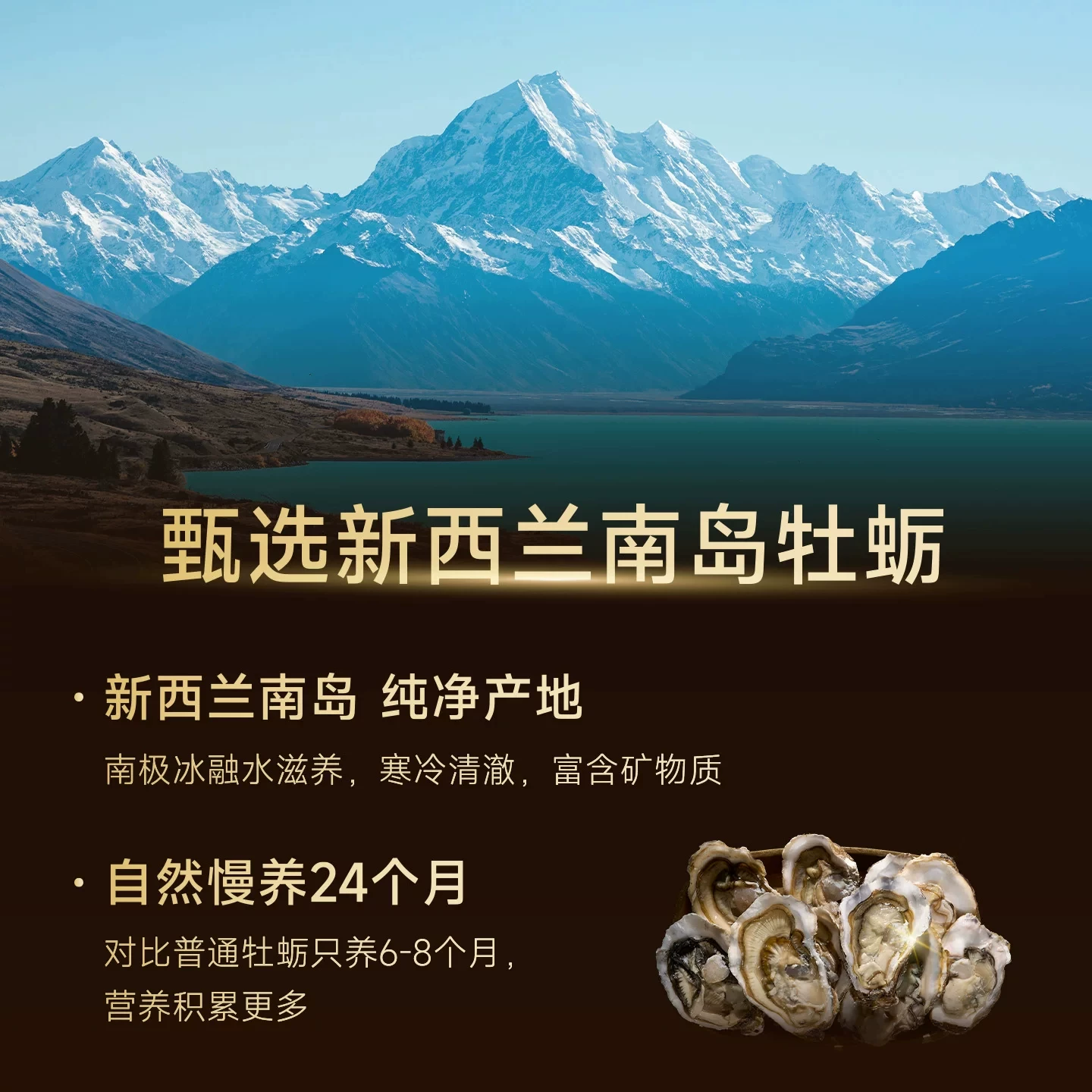 诚实一口猫粮黑金烘焙粮官方高鲜肉成幼猫专用营养呵护肠胃旗舰店 149元 - 线报酷
