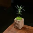 线报图片