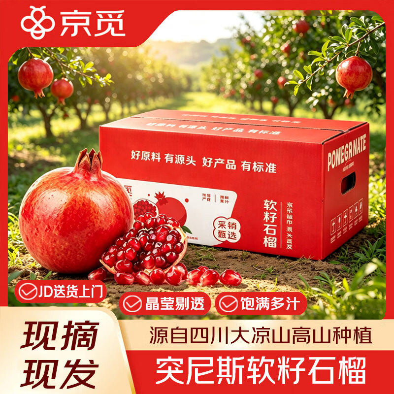 京觅会理突尼斯软籽石榴4.5斤单果250g+生鲜水果源头直发 16.8元 - 86线报