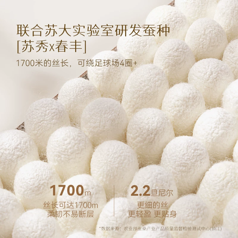 太湖雪蚕丝被100%桑蚕丝夏凉被春秋被芯二合一子母被优等品沁柔 551.2元 - 86线报