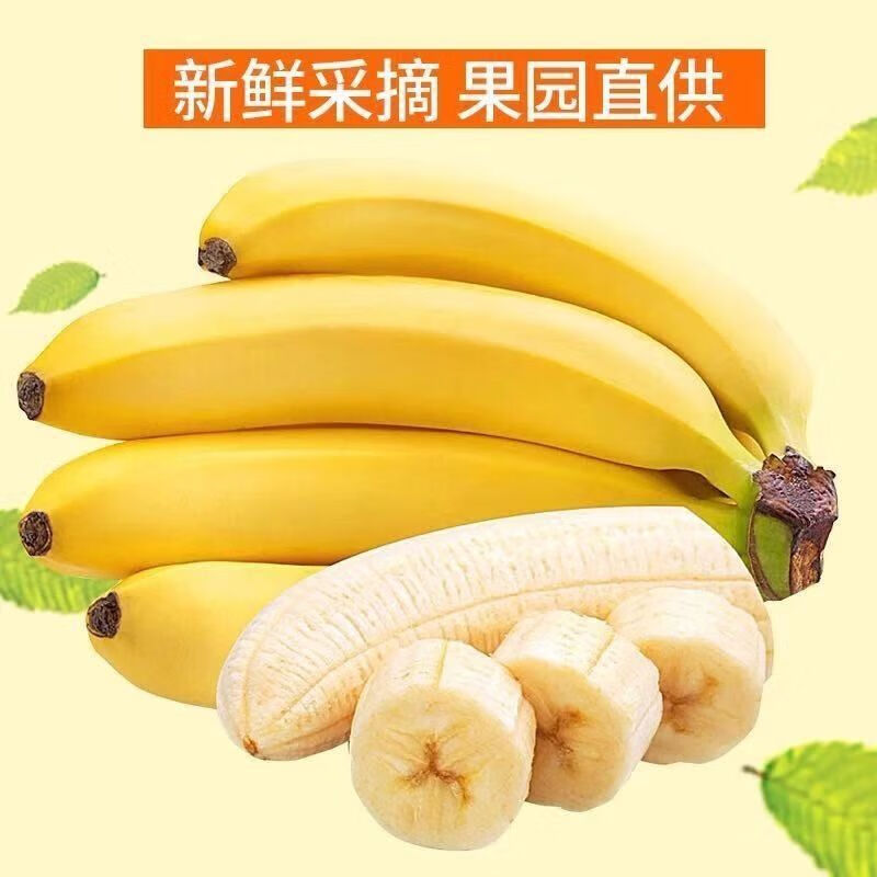 鹿凌青云南高山香蕉10斤精品带箱威廉斯大香蕉水果 9.69元 - 86线报
