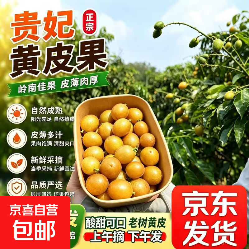 广西贵妃黄皮果净2斤 29.9元 - 线报酷