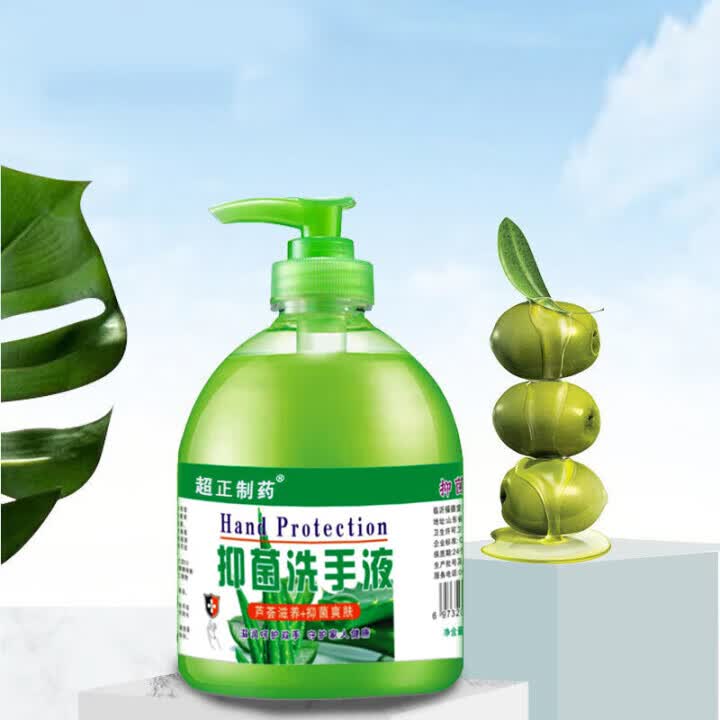 洁立缇 抑菌洗手液 500g 券后0.9元 满5.9减5元 - 86线报