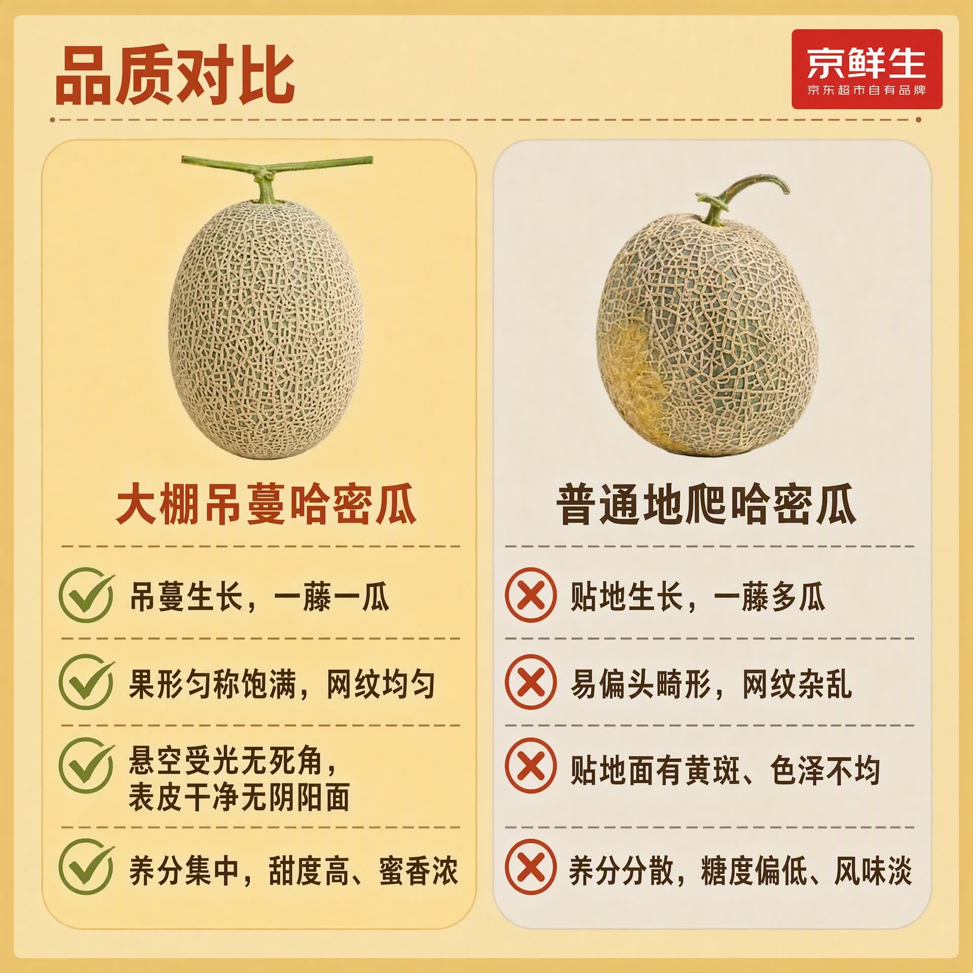 陕西哈密瓜西州蜜 净重8-9斤 2-3粒装 生鲜水果源头直发 14.9元 - 86线报