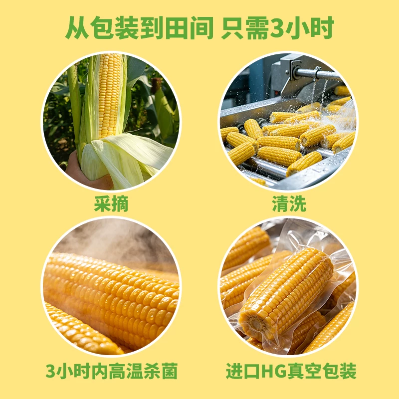 五谷颂东北黄糯玉米200g*10 14.8元 - 86线报