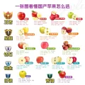 京鲜生 一级 烟台红富士苹果 中果 单果160g-200g 5kg 39.13元 图片 1