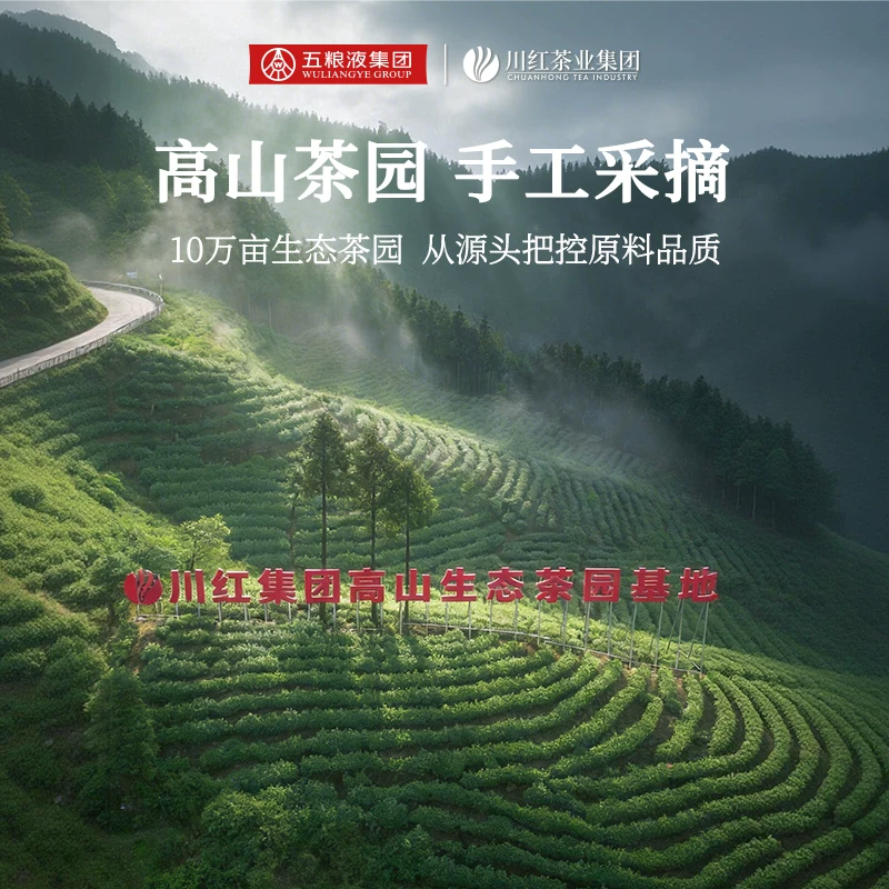 川红鲜嫩碧螺春茶叶礼盒装120g赠茶水分离杯1个 31.47元 - 86线报