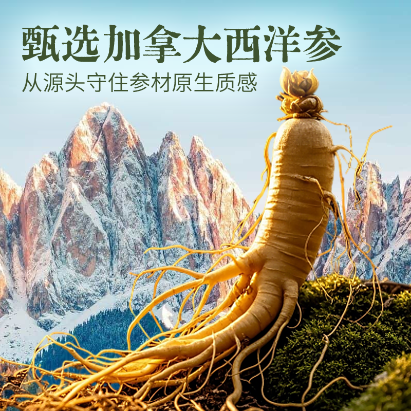 元合序加拿大西洋参养生茶2g*7袋 23.8元 - 86线报