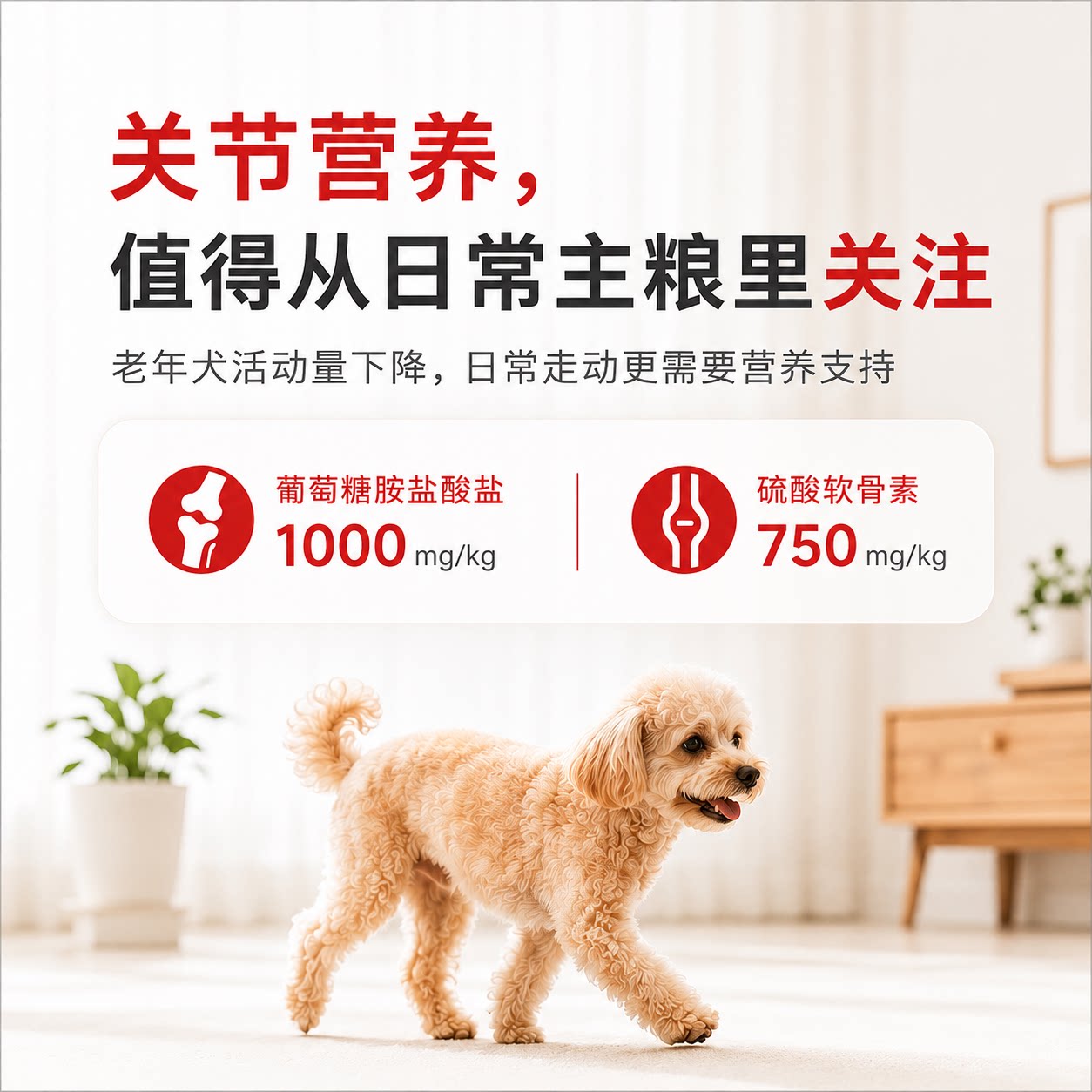 HIYORI元气软软老年犬软狗粮13岁小型犬高龄犬泰迪比熊软粮 129元 - 清风线报