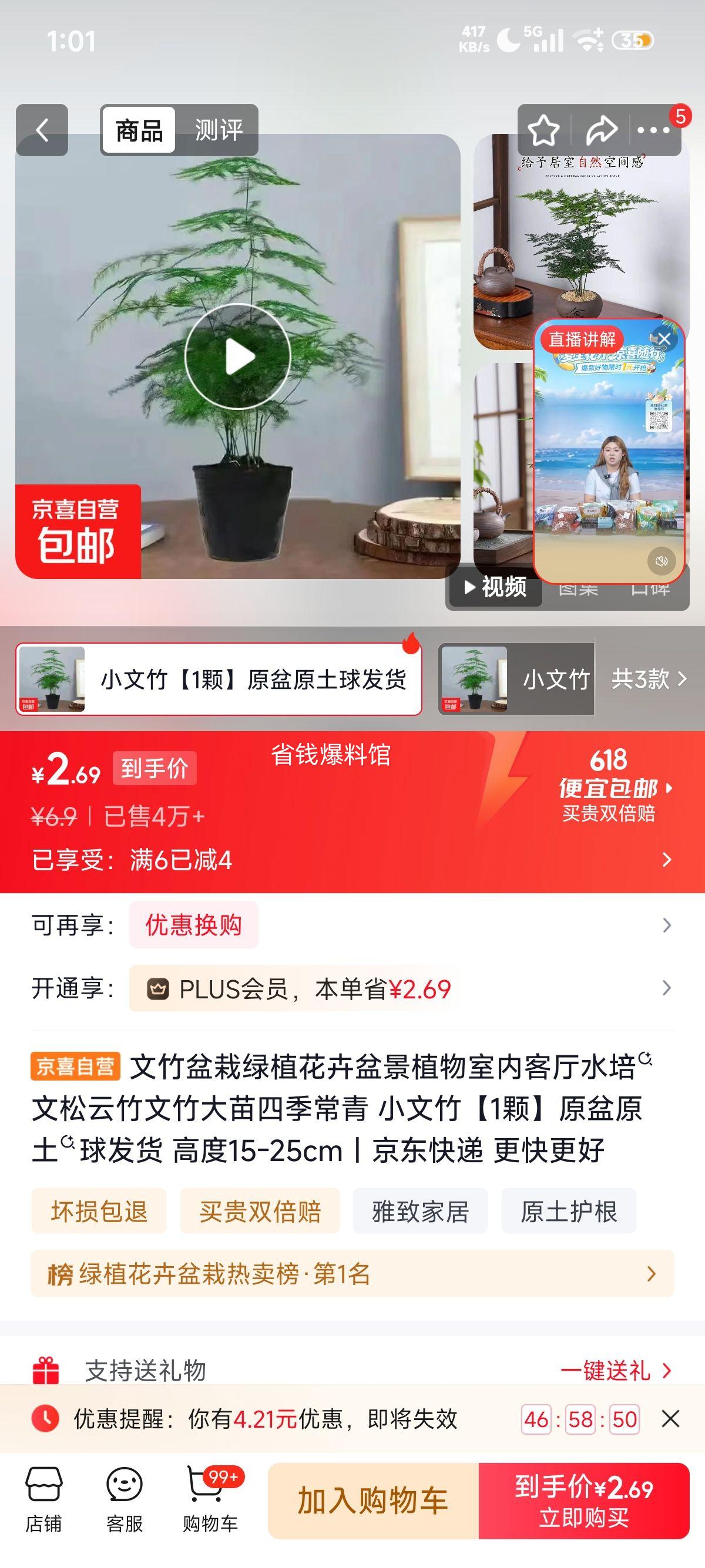 文竹盆栽绿植花卉室内客厅水培大苗四季常青高度15-25cm 2.9元 - 线报酷