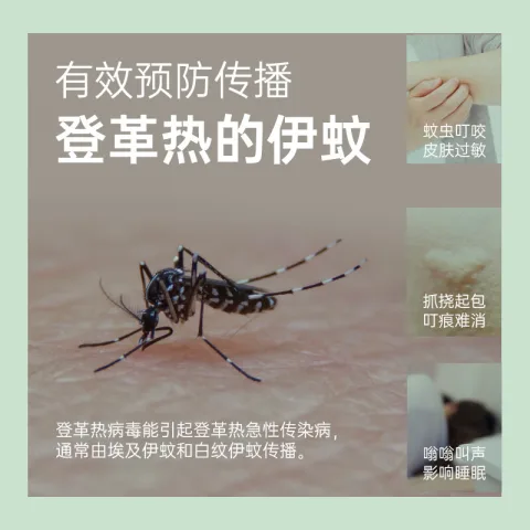 榄菊 蚊香盘 30盘/桶 艾草清香型 5.9元 图片 2