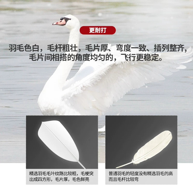 迪科斯羽毛球3只 3.37元 - 86线报