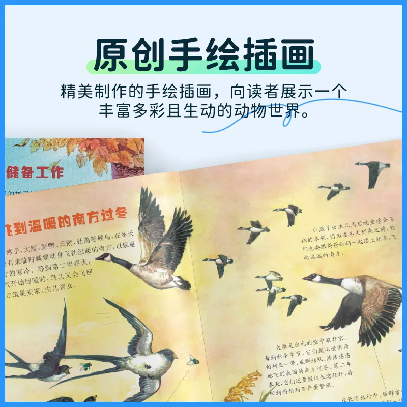 全彩版探索动物之旅全套16册小牛顿动物百科大揭密原创手绘插画如何躲过寒冬科普 3.18元 - 86线报 全彩版探索动物之旅全套16册小牛顿动物百科大揭密原创手绘插画如何躲过寒冬科普 3.18元 - 86线报