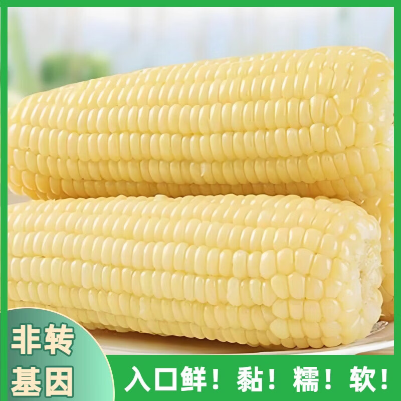 京东今年东北白糯玉米非转基因独立真空包装粗粮当季新鲜玉米早餐直播白糯270-320克/支*10支 - 86线报