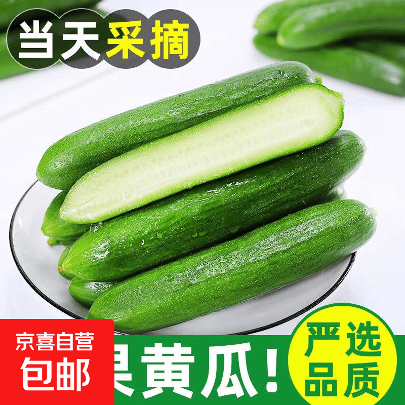 寿光水果黄瓜带箱2斤净重1.8斤 3.99元 - 86线报