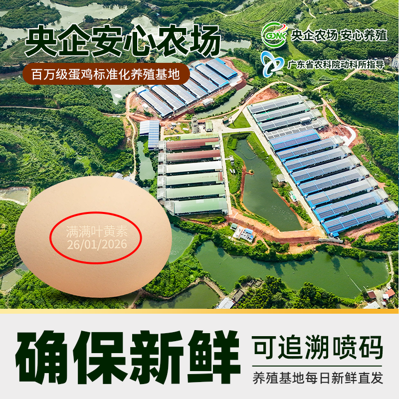 蛋益满满喵满分广东茂名富硒叶黄素可生食鸡蛋50g*30枚 26.7元 - 折送网