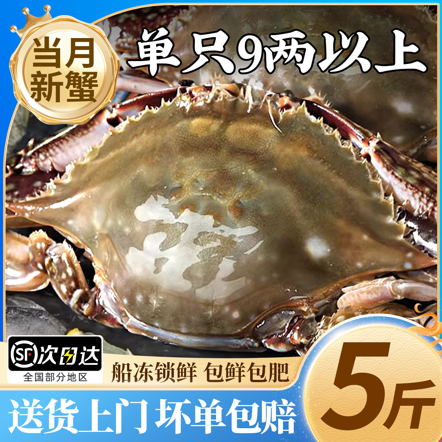 鲜喜利梭子蟹鲜活特大野生舟山大螃蟹海鲜新鲜冷冻海蟹水产飞蟹白蟹 9两以上/只 140.29元 - 86线报 鲜喜利梭子蟹鲜活特大野生舟山大螃蟹海鲜新鲜冷冻海蟹水产飞蟹白蟹 9两以上/只 140.29元 - 86线报