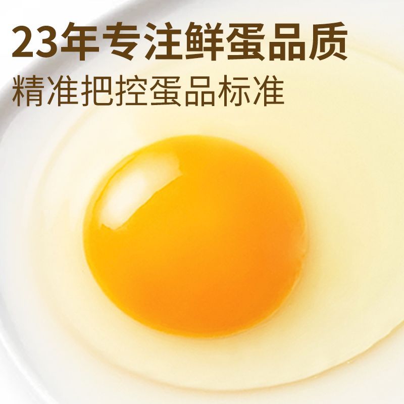 沈师傅 可生食无菌土鸡蛋 2.8kg/60枚 39.8元 - 线报酷