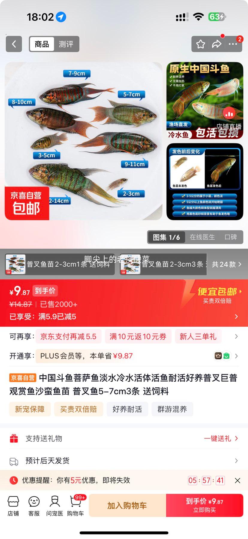 中国斗鱼菩萨鱼 普叉鱼5-7cm 3条 送饲料 9.87元 - 86线报