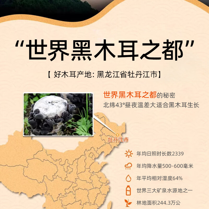 双塔东北黑木耳100g干木耳特产小碗耳火烧烤锅食材南北干货粉丝粉条 6.19元 - 86线报